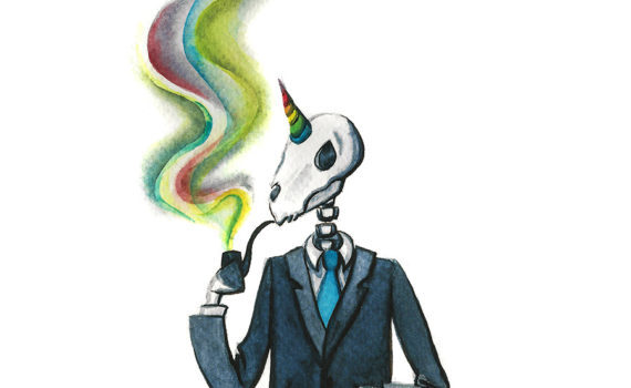 This Is Not A Unicorn illustartion